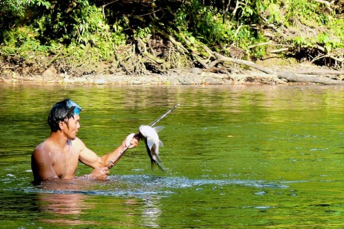 Kelompok masyarakat asli tidak seharusnya terpinggirkan dalam transformasi ekonomi di Kalimantan Timur