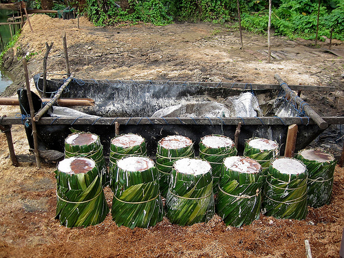 Hutan dan ketahanan pangan: kembali ke agenda global