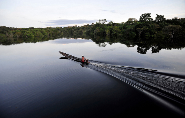 More forests, more power: Analyzing the viability of Belo Monte dam