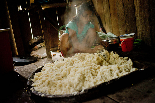 Diperlukan pemikiran baru untuk mendorong ketahanan pangan sekaligus sumber daya hutan