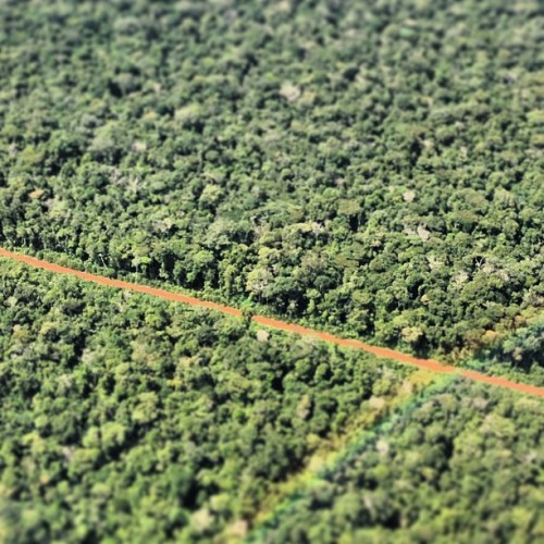 Agora é uma corrida contra o tempo para o governo do Acre totalmente implementar o SISA — e mostrar que está alcançando resultados — antes das eleições do estado em 2014. Kate Evans/CIFOR