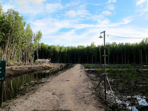 Jaminan kepemilikan lahan dan kepentingan ekonomi menambah efektivitas REDD+ – Studi