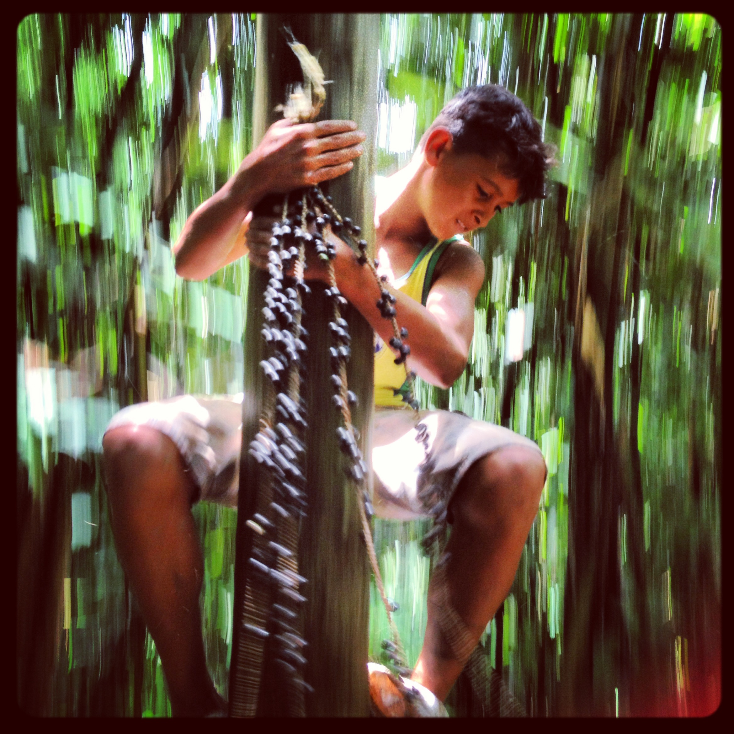 Lessons from the Amazon: Searching for a Sustainable Future for Forests and People