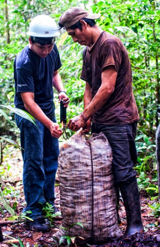 Marco Simola/ CIFOR