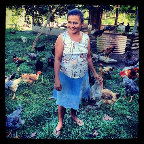 Uma parte do programa de certificação do Acre envolve dar às famílias ajuda com a avicultura, para fornecer-lhes uma renda que não requeira maior desmatamento.