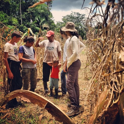 Pesquisadores do CIFOR entrevistaram 240 famílias de pequenos produtores no Acre sobre seu uso da terra e seus meios de subsistência como parte de Estudo Comparativo Global do CIFOR sobre REDD+. Kate Evans/CIFOR