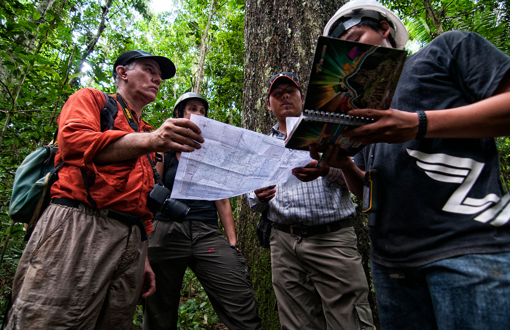Experiência de aprendizagem: jovens silvicultores peruanos contribuem com a pesquisa sobre a castanha-do-brasil