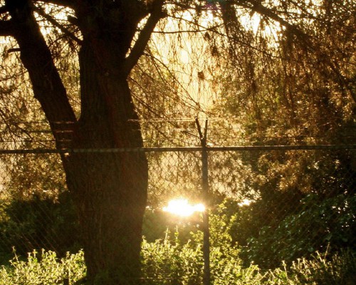 Las áreas protegidas de Guatemala marginan a los verdaderos protectores