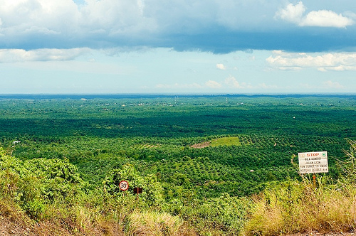 Lahan untuk siapa? Pengakuan hak masyarakat penting bagi legitimasi REDD+