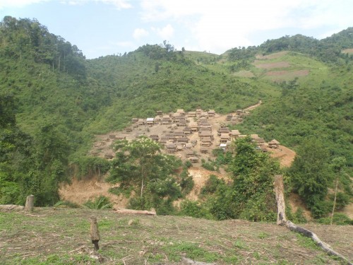 Alat baru pemantau perladangan berpindah membantu REDD+