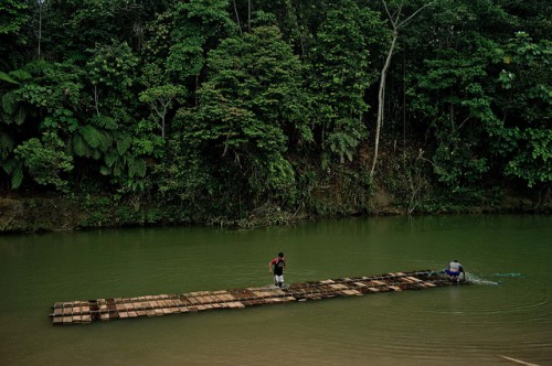 Lihat siapa yang tidak berbicara sekarang: Aliran informasi REDD+ di Indonesia