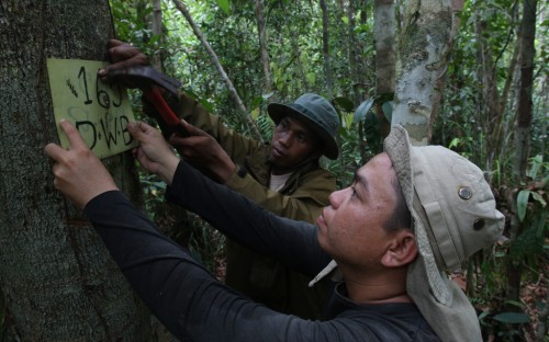 Pengambil kebijakan di Indonesia memilih partisipasi masyarakat cara terbaik bagi masa depan