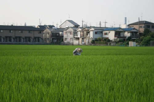 Mengelola sumber daya bersama: Setara antara negara maju dan berkembang