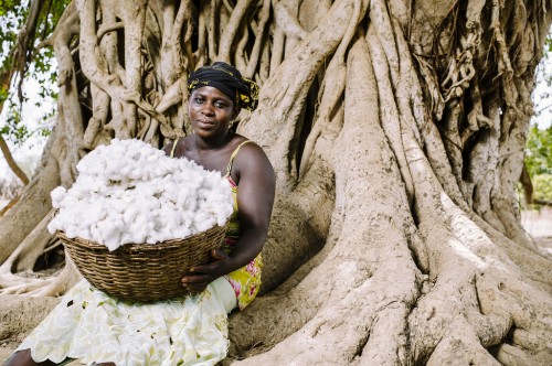 Why don’t women participate in forest governance and what difference will their participation make?