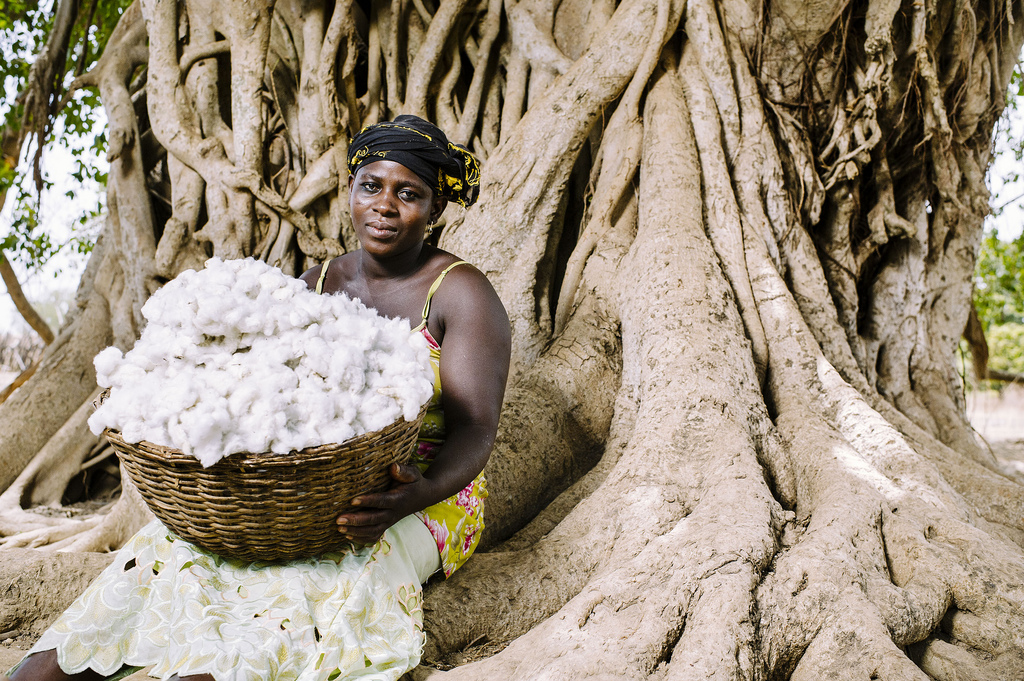 Mengapa perempuan tidak ikut mengelola hutan dan apa yang terjadi saat mereka terlibat?