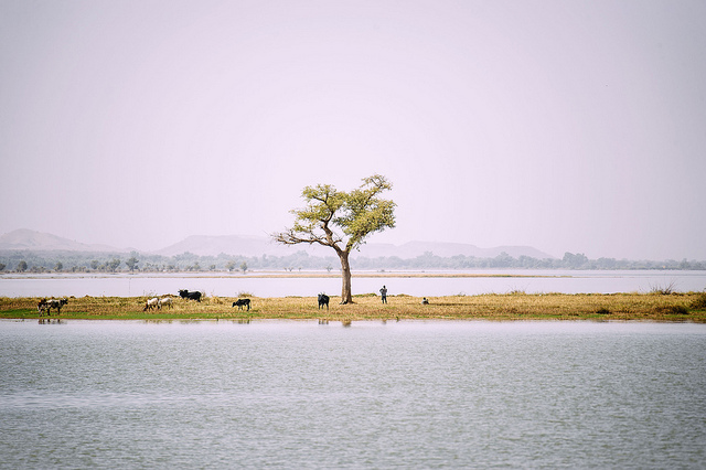 West African lake a field laboratory for long-term landscapes research