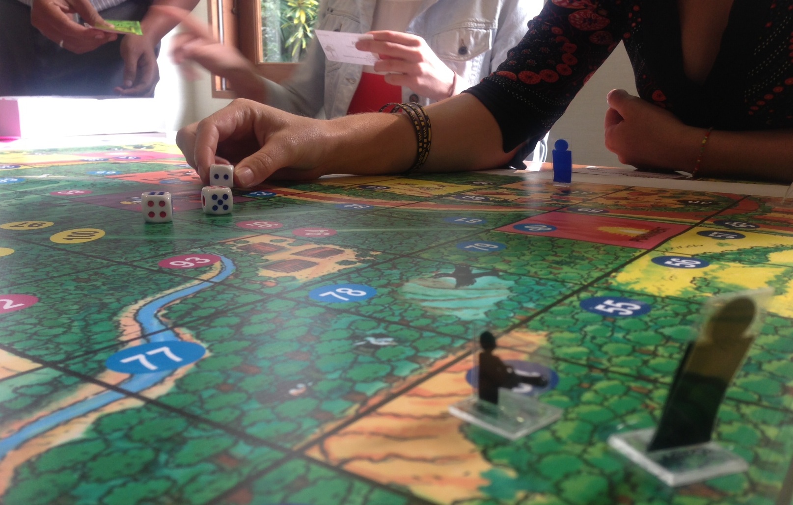 Board game puts new spin on competitive land-use dynamics