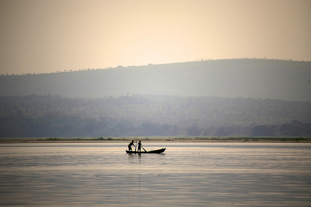 Les Etats-Unis de nouveau facilitateurs du Partenariat pour les forêts du bassin du Congo