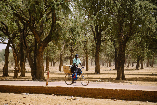 Científicos recomiendan actuar con tacto en el diseño de sistemas de gobernanza forestal