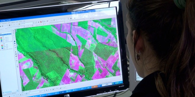 Seeing the forest and the trees: Brazil’s transparency in deforestation data