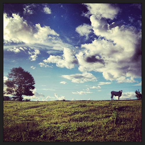 Diskusi bentang alam bisa menghidupkan lagi Perundingan Iklim PBB di Warsawa: negosiator