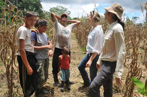 Postcards from the field: All you need is a hammock