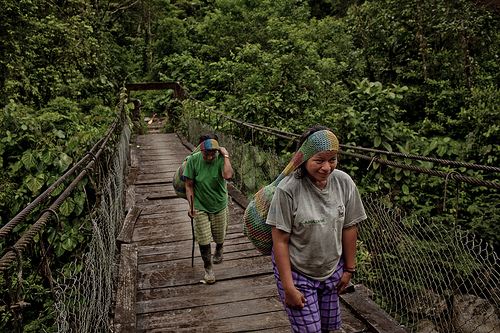 Menggabungkan adaptasi & mitigasi: sebuah pilihan menang-menang