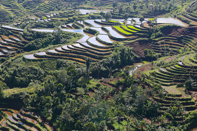 Meninjau kembali investasi bentang alam untuk membantu pembangunan lestari