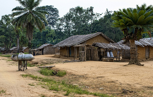 Des lois solides peuvent soutenir le développement durable en Afrique – avis d’expert