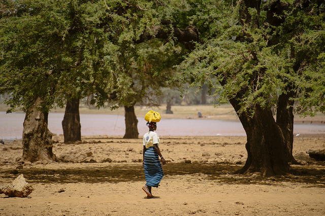 ‘Landscapes approach’ could alleviate West Africa climate change woes – scientists