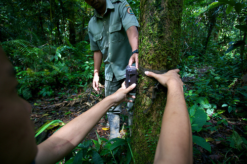 Teknologi baru, kunci pemantauan masyarakat terhadap REDD+
