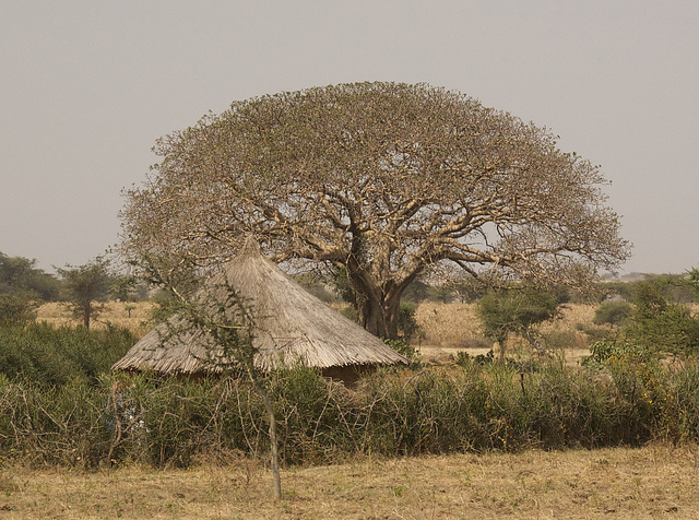 In Ethiopia, drawing a “road map” to a carbon-neutral future