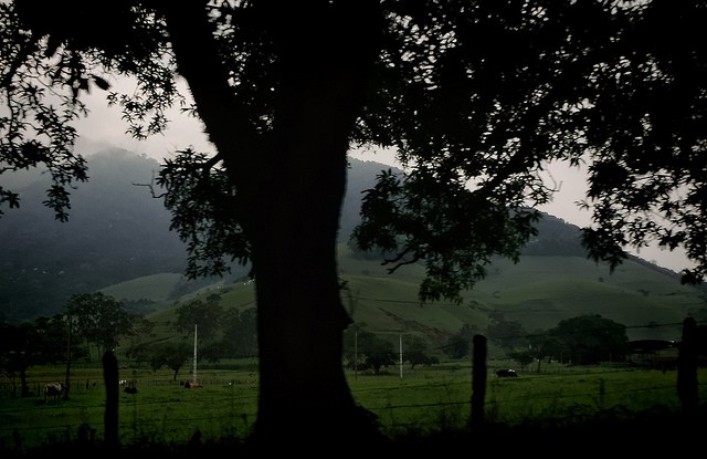 In Brazil, governance key to resisting Mato Grosso deforestation — study