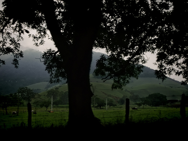 En Brasil, la gobernanza es fundamental enfrentar la deforestación en Mato Grosso – estudio