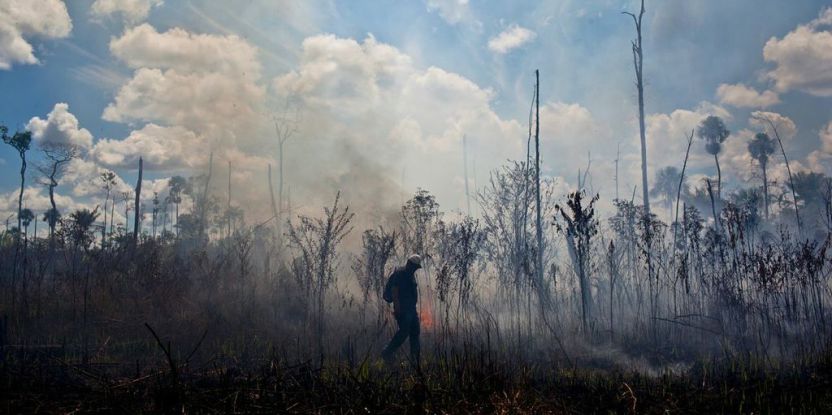 Three-way collaboration key to fire control in the Amazon — study