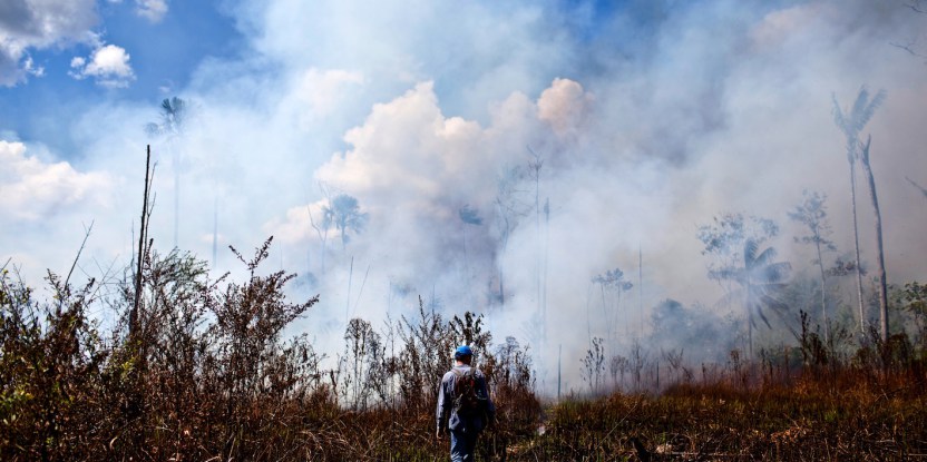 Forging fire resilience on Amazon forest fringes in Peru