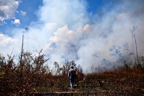 Queremos ver en qué medida la aparición de incendios y su propagación es influenciada por el clima, los cambios en la cobertura terrestre y los procesos sociales, dice Víctor Gutiérrez, científico investigador del Instituto de la Tierra en la Universidad de Columbia. Fotografía de: Ernesto Benavides 