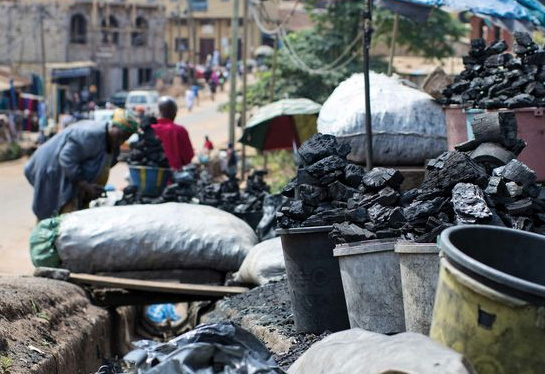 Finding a balance among charcoal, timber and livelihoods in Zambia