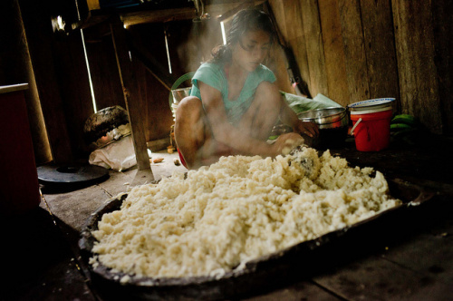 Finding good food in the forest