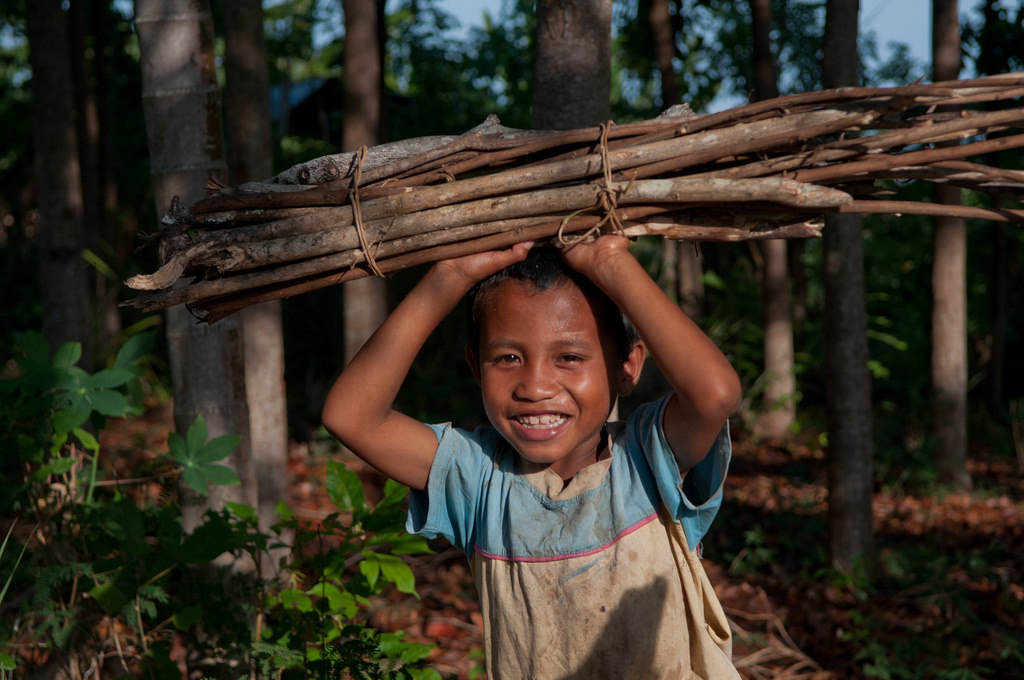 Nueve indicadores para los ODS sugeridos para la forestería y los paisajes