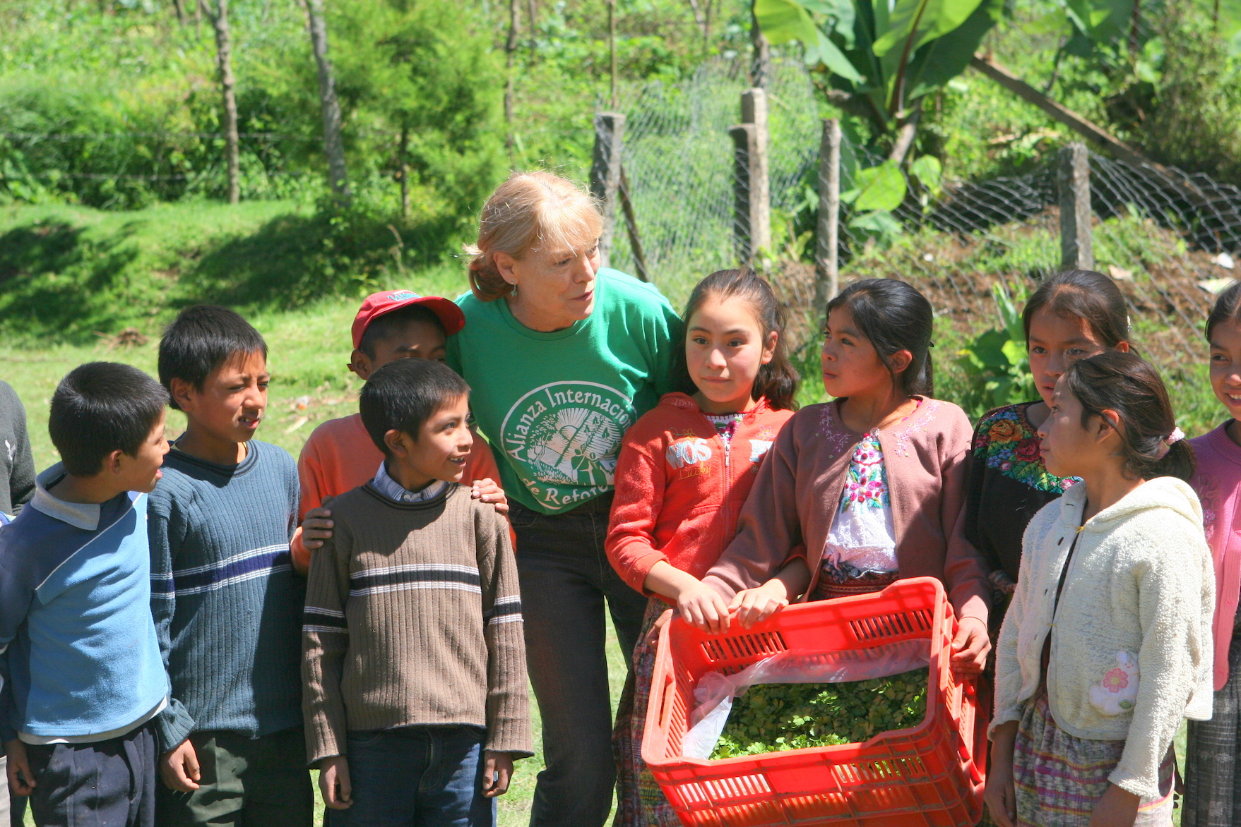 HEROINA DEL BOSQUE: Anne Hallum alivia la pobreza en Guatemala usando la forestería