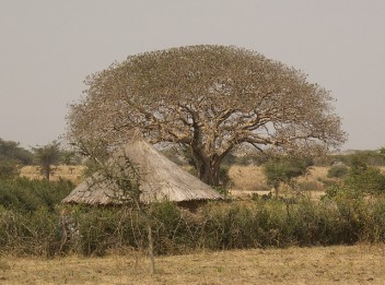 En Éthiopie, établir une «feuille de route» pour un futur sans carbone