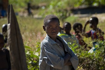 Quel rapport entre le couvert forestier et la nutrition des enfants ?