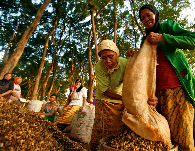Estudio desmitifica roles de género en forestería