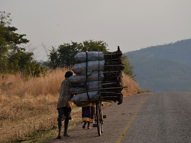 Weather patterns, urbanization add to pressures on Zambia’s forests
