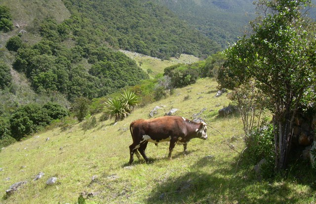 Value placed on water delivery varies if environment at risk, study shows