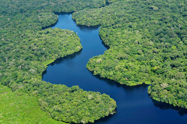 A river winds its way through a tropical forest