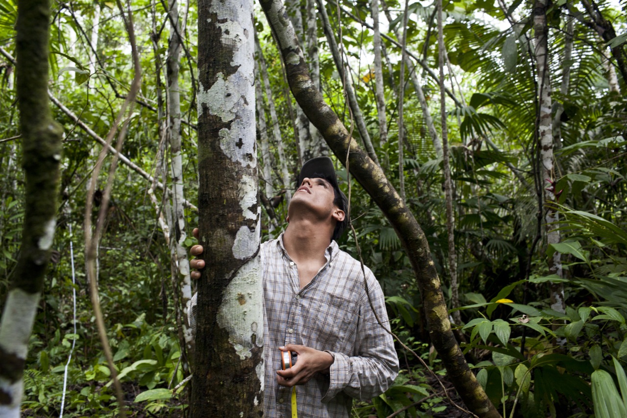 The forgotten majority? Peruvian smallholders at the farm-forest interface