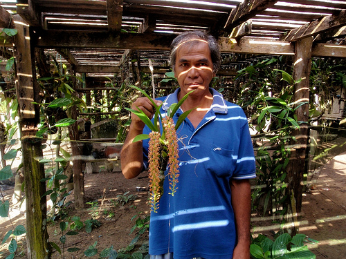 Mencari solusi perdebatan budi daya tumbuhan dan peternakan satwa liar