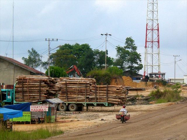 New tactic eased conflict over Indonesian plantation use, research shows